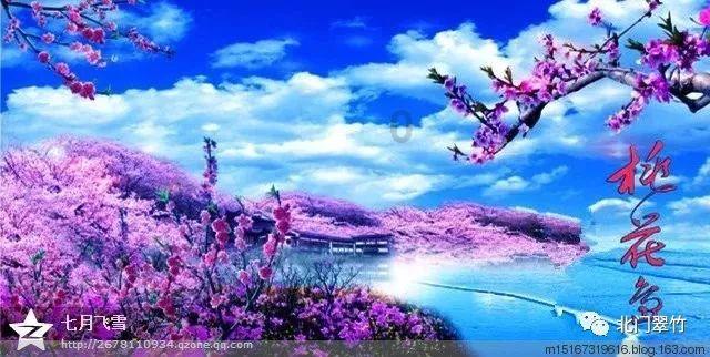 虫虫助手下载